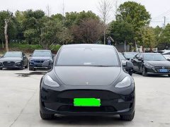 Tesla Model Y standard range rear-wheel drive version - фото 2