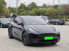Tesla Model Y standard range rear-wheel drive version - фото 3