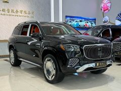 Mercedes-Benz Mercedes-Maybach GLS 450 - фото 3