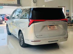 Buick GL8 2025 Lu Zun Smart Edition - фото 20