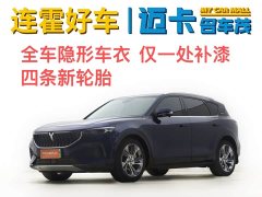 Voyah Lantu FREE 2021 4WD Extended Range First Edition Exclusive Luxury Package - фото 1
