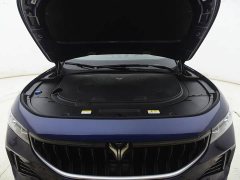 Voyah Lantu FREE 2021 4WD Extended Range First Edition Exclusive Luxury Package - фото 14
