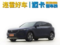 Voyah Lantu FREE 2021 4WD Extended Range First Edition Exclusive Luxury Package - фото 2