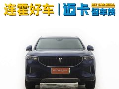 Voyah Lantu FREE 2021 4WD Extended Range First Edition Exclusive Luxury Package - фото 3