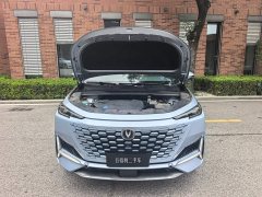Changan UNI-K 2.0T premium - фото 9