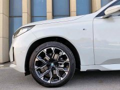 BMW X3 xDrive30L Leading Type M Sports Package - фото 6
