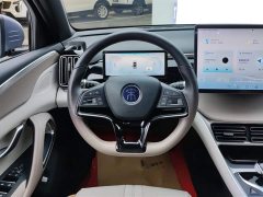 BYD Song Pro DM-i Honor Edition 110KM Excellence - фото 15