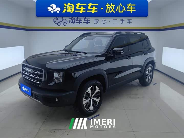 Havaldog 2022 1.5T DCT two-wheel drive Labrador version - автомобиль из Китая