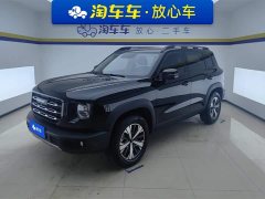 Havaldog 2022 1.5T DCT two-wheel drive Labrador version - фото 1
