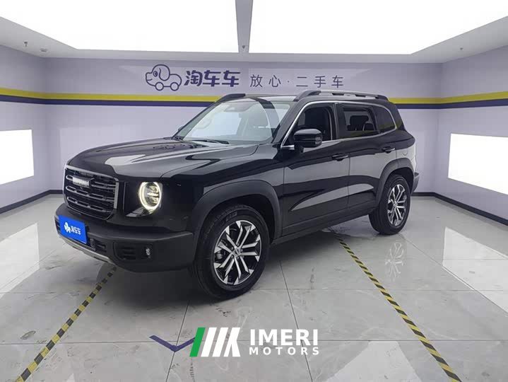 Haval Big Dog 2021 1.5T DCT two-wheel drive Border Collie version - автомобиль из Китая