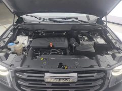 Haval Big Dog 2021 1.5T DCT two-wheel drive Border Collie version - фото 10