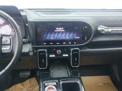 Haval Big Dog 2021 1.5T DCT two-wheel drive Border Collie version - фото 13