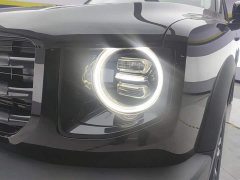 Haval Big Dog 2021 1.5T DCT two-wheel drive Border Collie version - фото 5