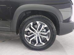 Haval Big Dog 2021 1.5T DCT two-wheel drive Border Collie version - фото 6