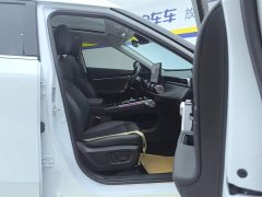 Trumpchi Yingku 2022 2.0ATK Gemini Pro Edition - фото 8