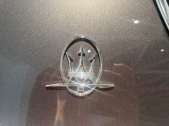 Maserati Levante 2019 3.0T Standard Edition National VI - фото 8