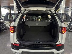 Lexus Discovery Sport 249PS R-Dynamic S Performance Edition 5-seater - фото 8