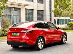 Tesla Model Y long-range all-wheel drive version - фото 15