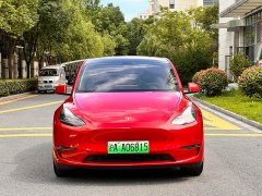 Tesla Model Y long-range all-wheel drive version - фото 2