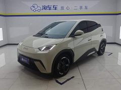 BYD Seagull Honor Edition 305km Free Edition - фото 1