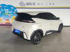 BYD Seagull Honor Edition 305km Free Edition - фото 3
