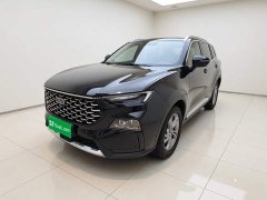 Lynk & Co Lingrui 2023 EcoBoost 170 Fine Collar Type - фото 1