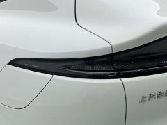 Lexus Zhiji LS6 long-range Smart Lizard version - фото 12