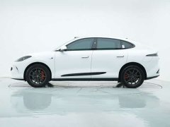 Lexus Zhiji LS6 long-range Smart Lizard version - фото 2