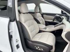 Lexus Zhiji LS6 long-range Smart Lizard version - фото 20