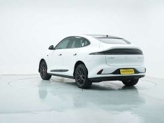 Lexus Zhiji LS6 long-range Smart Lizard version - фото 6