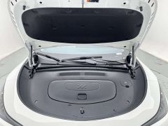 Lexus Zhiji LS6 long-range Smart Lizard version - фото 9