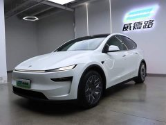 Tesla Model Y L long-range all-wheel drive version - фото 1