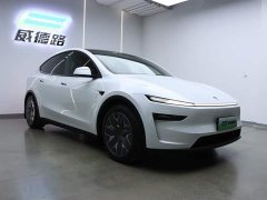 Tesla Model Y L long-range all-wheel drive version - фото 3