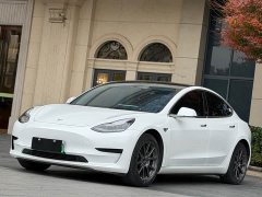 Tesla Model 3 2020 Standard Range Rear Drive Upgraded Version - фото 1