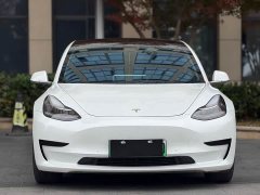 Tesla Model 3 2020 Standard Range Rear Drive Upgraded Version - фото 2