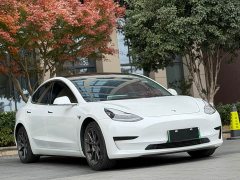 Tesla Model 3 2020 Standard Range Rear Drive Upgraded Version - фото 3