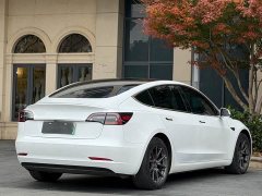 Tesla Model 3 2020 Standard Range Rear Drive Upgraded Version - фото 7