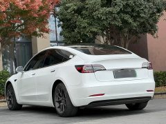 Tesla Model 3 2020 Standard Range Rear Drive Upgraded Version - фото 9