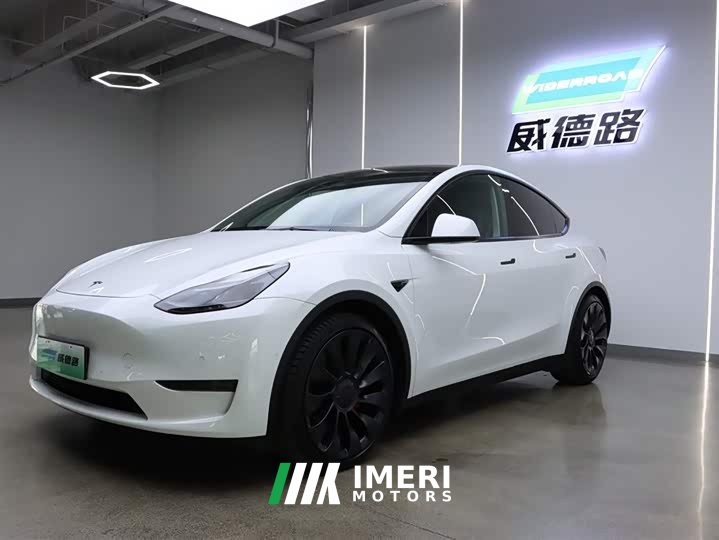 Tesla Model Y Performance high-performance all-wheel drive version - автомобиль из Китая