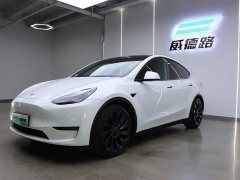 Tesla Model Y Performance high-performance all-wheel drive version - фото 1