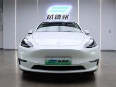 Tesla Model Y Performance high-performance all-wheel drive version - фото 2