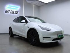 Tesla Model Y Performance high-performance all-wheel drive version - фото 3