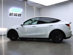 Tesla Model Y Performance high-performance all-wheel drive version - фото 5