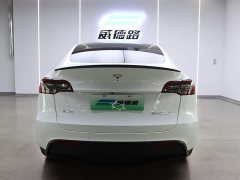 Tesla Model Y Performance high-performance all-wheel drive version - фото 6