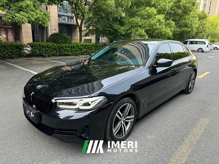 BMW 5 Series 530Li Leading Luxury Package - автомобиль из Китая