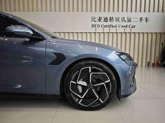 BYD Seal Champion Edition 700km Performance Edition - фото 16