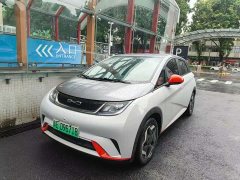 BYD Dolphin 2021 405km Free Edition - фото 1