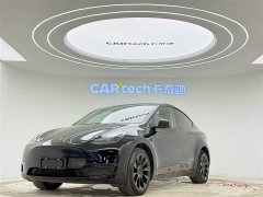 Tesla Model Y long-range all-wheel drive version 3D7 - фото 1