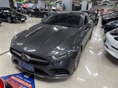 Mercedes-Benz CLS 300 Dynamic - фото 1