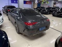 Mercedes-Benz CLS 300 Dynamic - фото 3